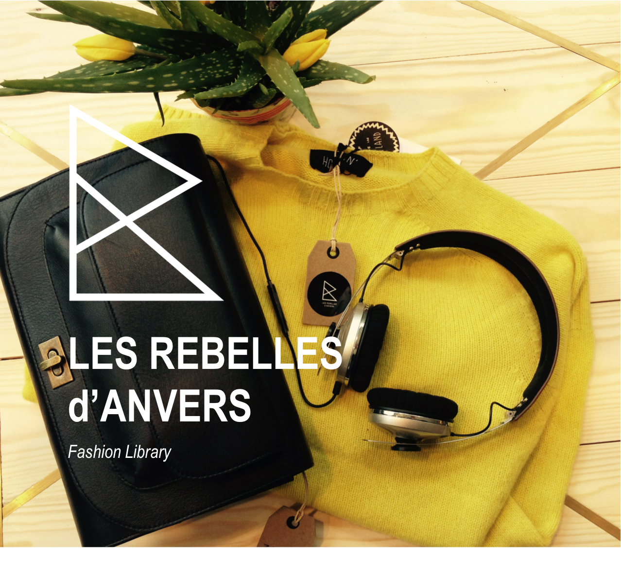Reference Rebellesdanvers 4